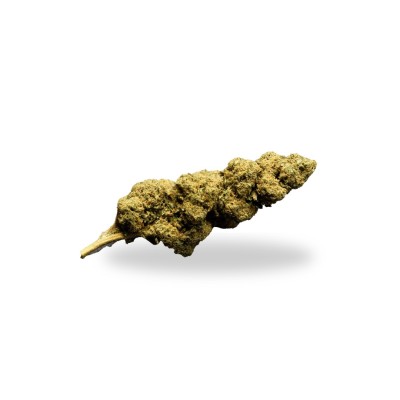 Tutti Frutti Smal Bud
