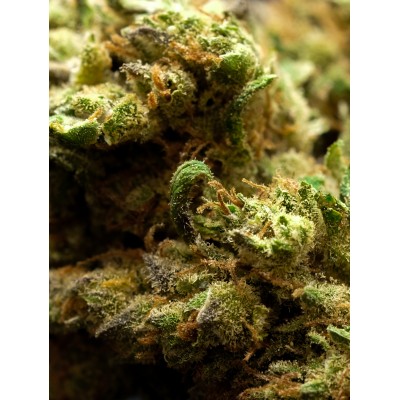 Lemon Haze fleur de CBD