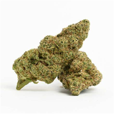 Amnésia en Hydroponie 15%...