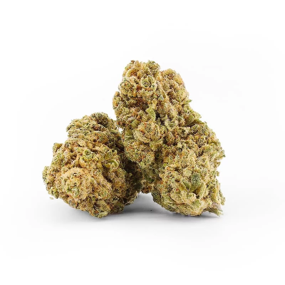 White widow Indoor 15% de CBD