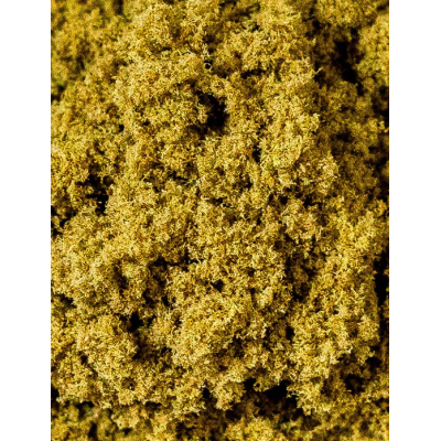 Pollen de CBD 30%