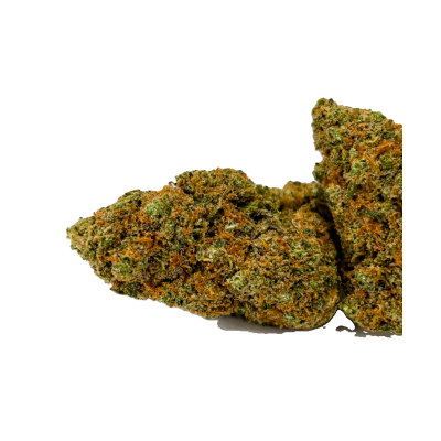 Cherry Pie fleur en glasshouse