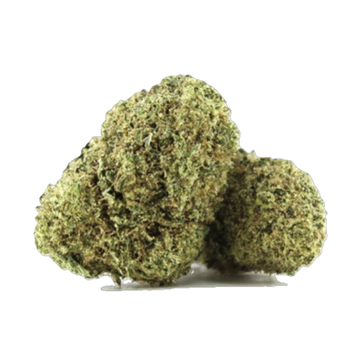 Dom Pérignon en Californienne