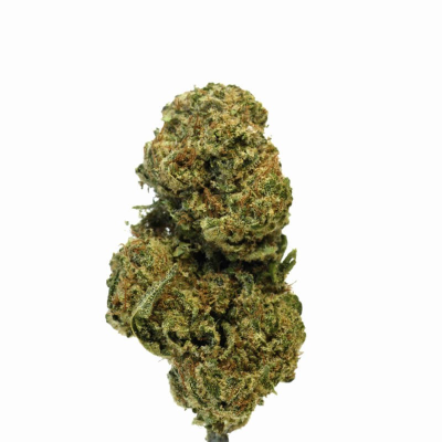 Fleur Mimosa 10-OH-HHC