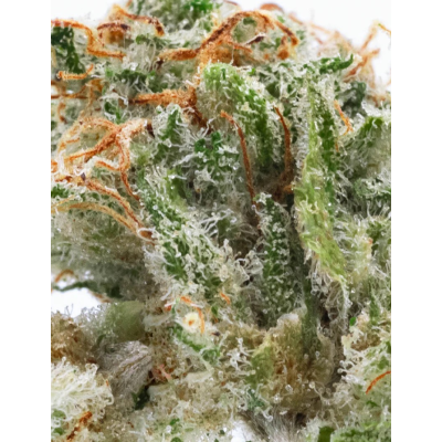 Tropicana CBD – Fleur CBD