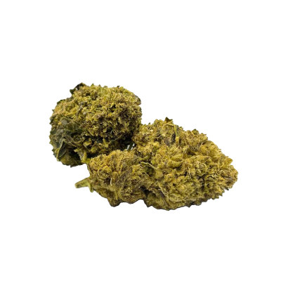 50SC en Fleur -10-OH-HHC