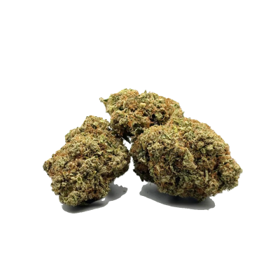 Green Truffle fleur et...