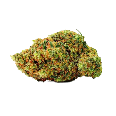 Durban Poison fleur...