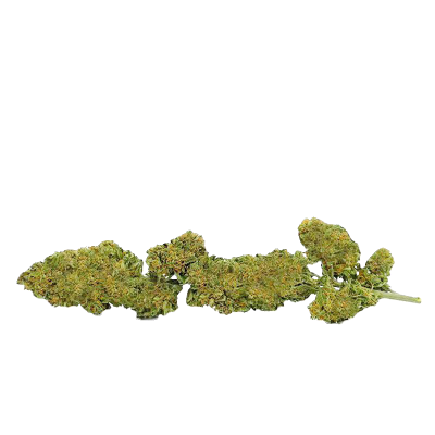 Strawberry – Outdoor sur tige