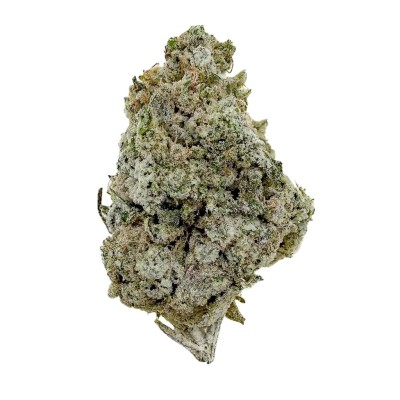 Angel Charlotte – Fleur de CBD