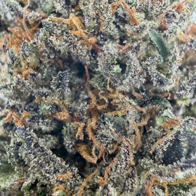 Butter Gelato en fleur - CBD