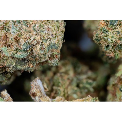 Fragola - Fleur de CBD Cali