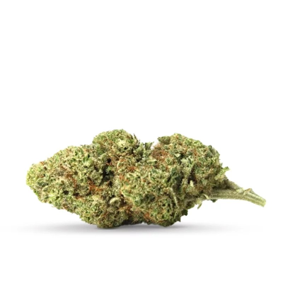 Guava – Fleur de CBD