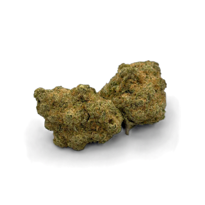 Gelato en fleur - TNT