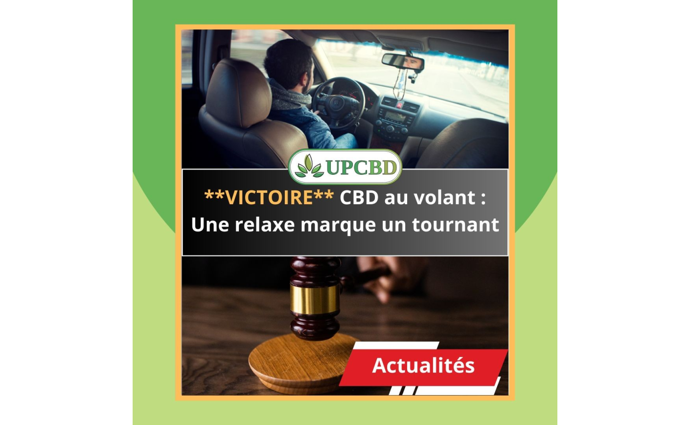 La Légalisation de la CBD en France : Une Avancée Encadrée par la Loi